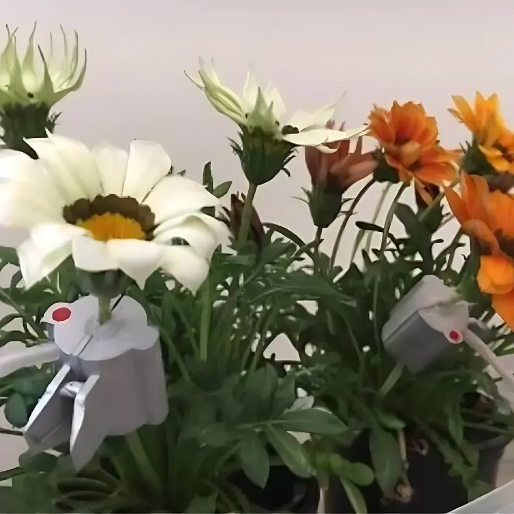 Edaphic HPV-06 Heat Pulse Velocity Stem Flow Sensor