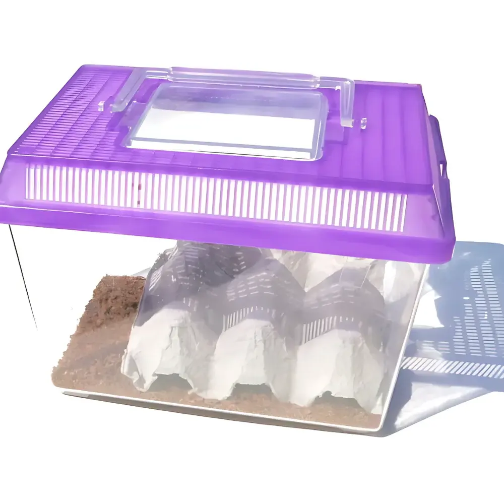 Backyard Brains Cockroach Surgery Kit