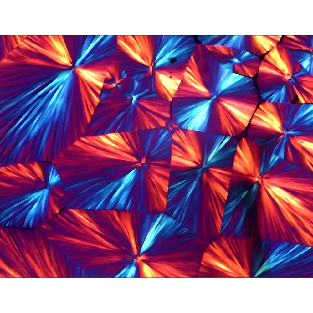 Caikon CK400CM Precision Heating Stage for Polarizing Microscopy – 400°C Touchscreen-Controlled Thermal Stage