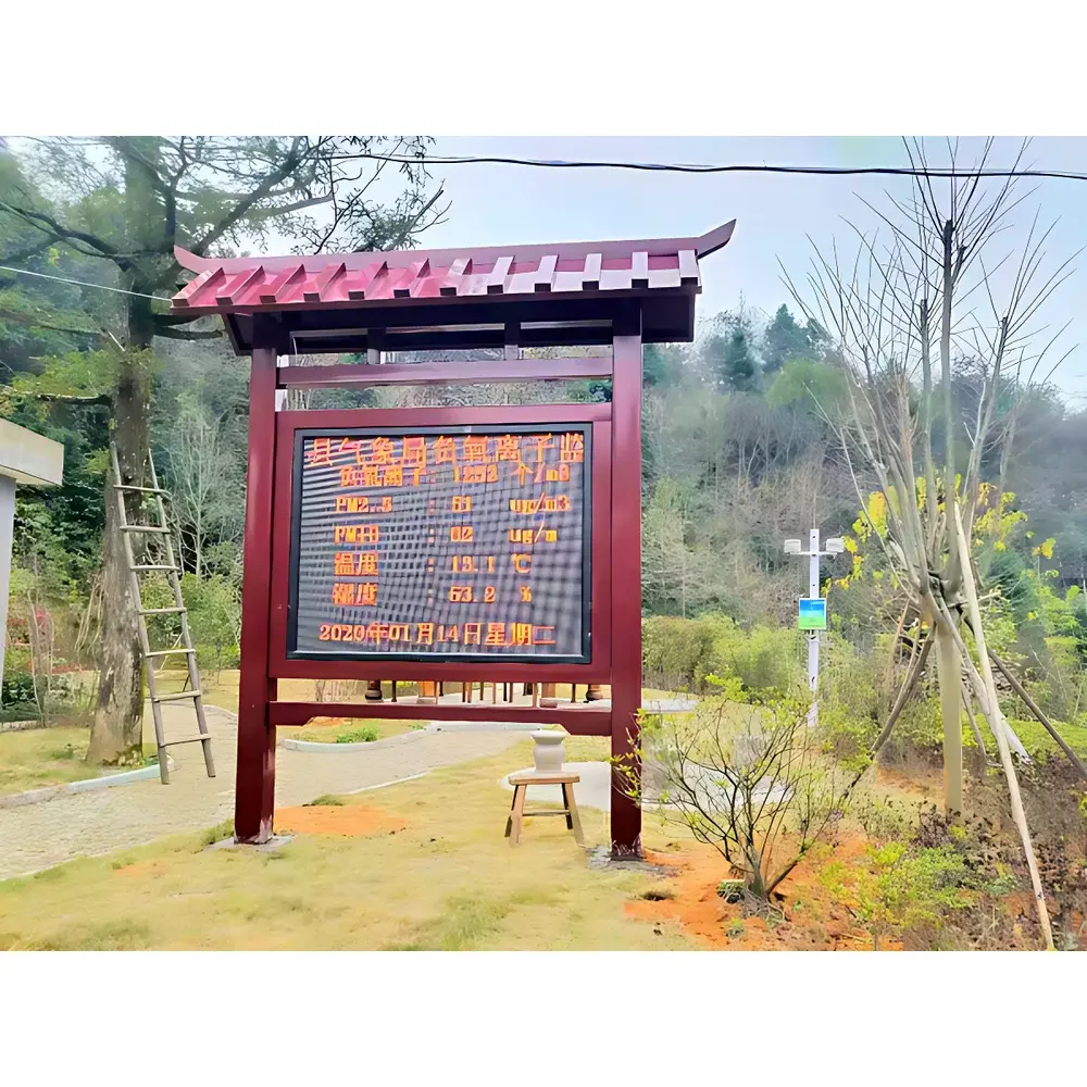 Air Negative Ion Detector