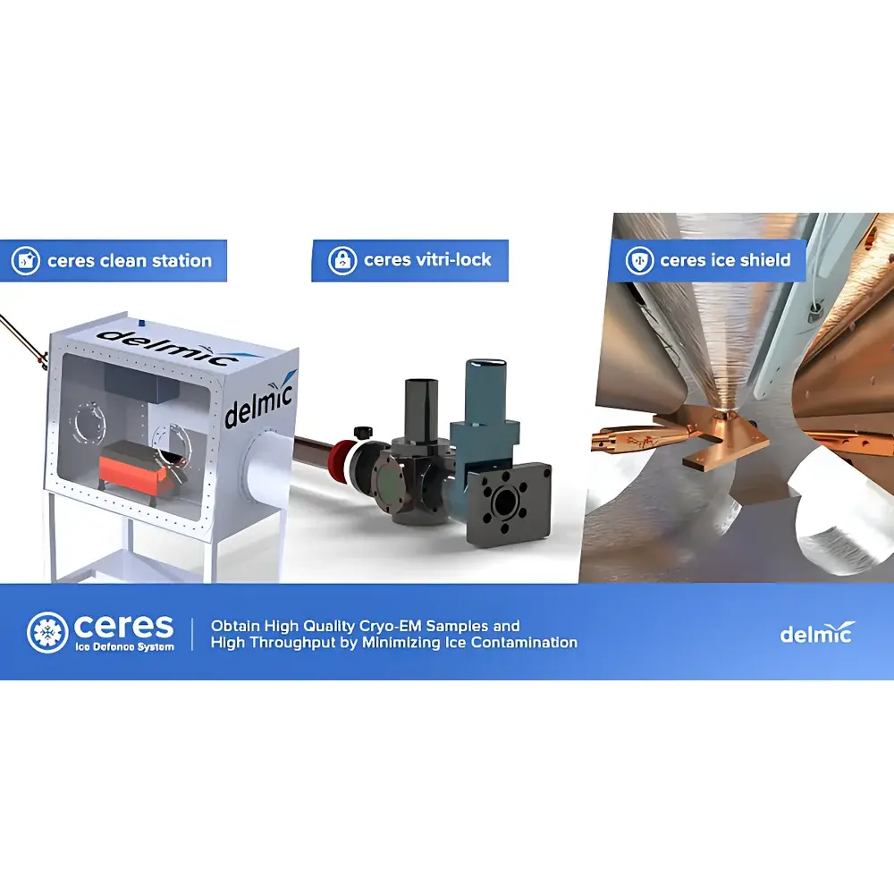 Scanning Transmission Electron Microscope