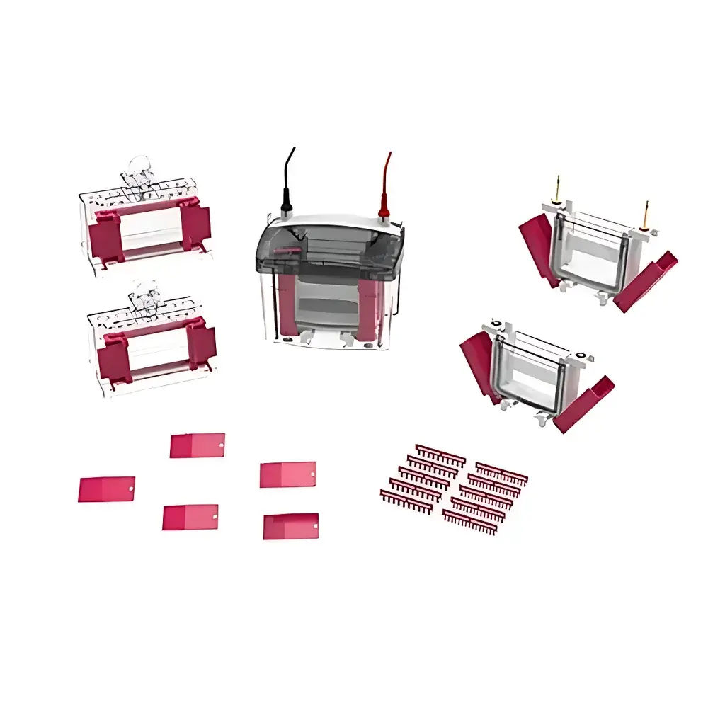 MiniPRO4 Mini Vertical Electrophoresis Tank