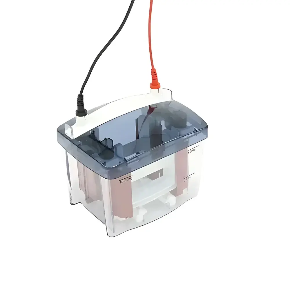 MiniPRO4 Mini Vertical Electrophoresis Tank