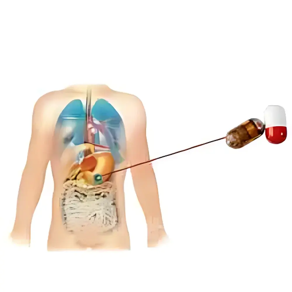 YUYANBIO e-Celsius® Human Core Body Temperature Telemetry System