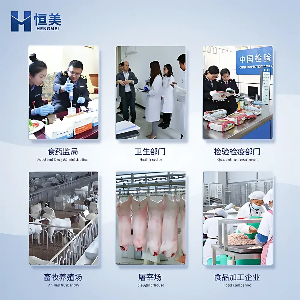 Hengmei HM-KSS Antibiotic Residue Detection System with Integrated Colloidal Gold Immunochromatographic Assay Platform