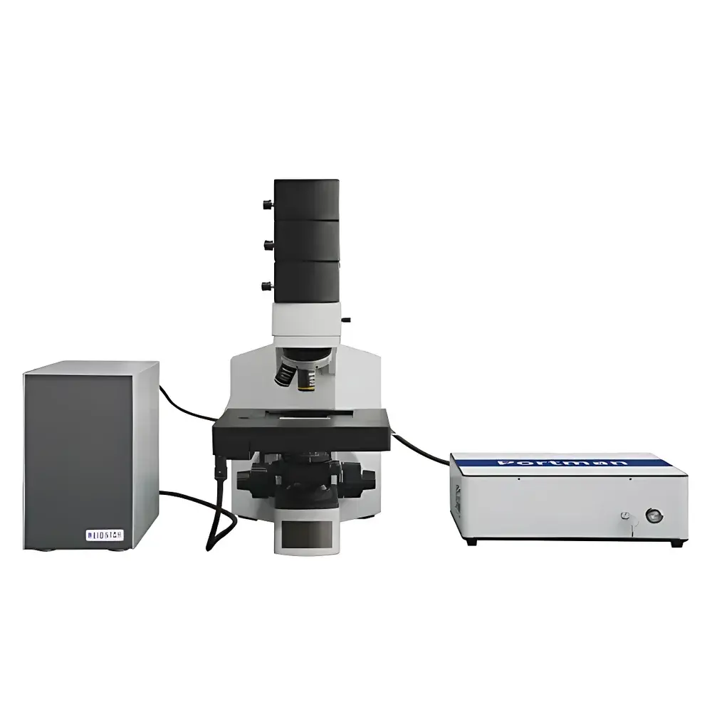 Coherent Raman Microscopic Imaging System