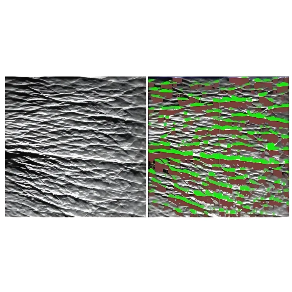 ASCH ASA-03RXD Anti-Wrinkle Efficacy Evaluation System