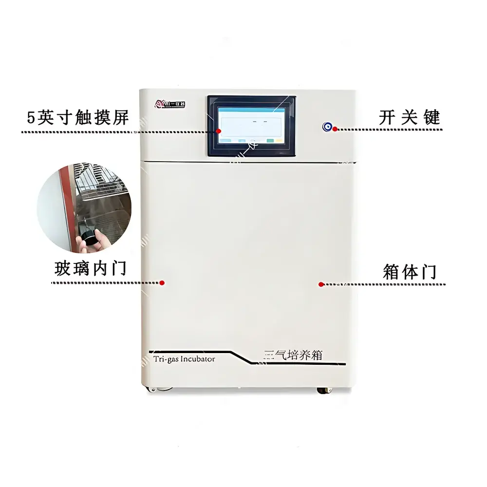Chuanyi CYSQ-50-III Tri-Gas Incubator with Independent O₂/CO₂/N₂ Control for Hypoxic and Hyperoxic Cell Culture