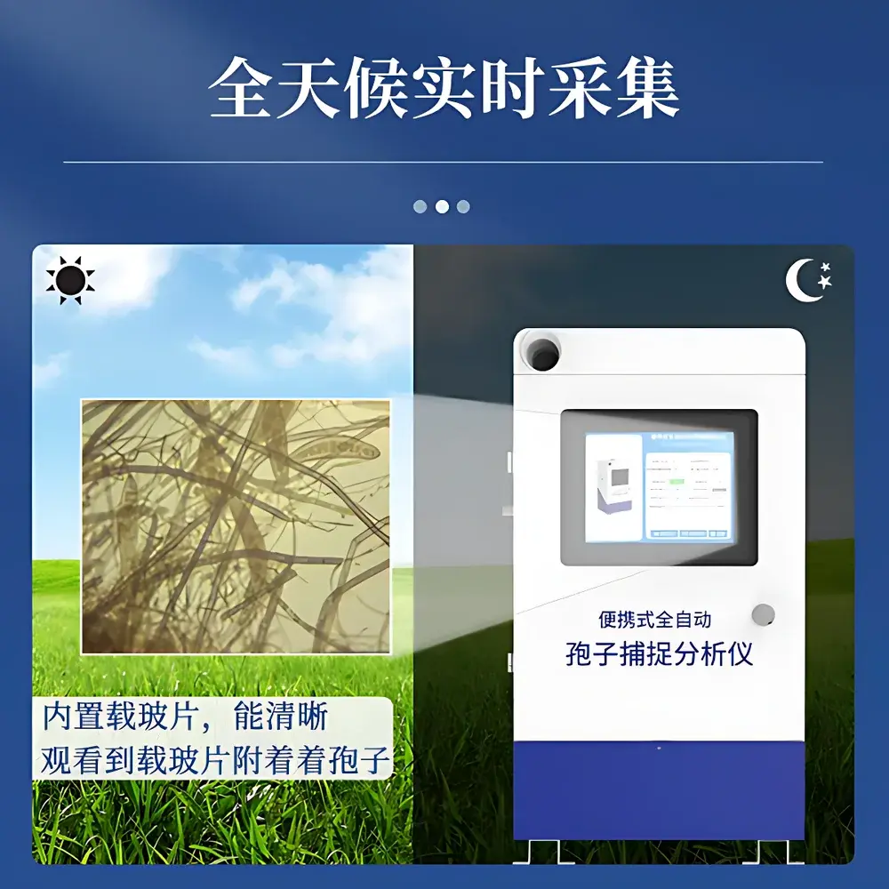 English Product Name