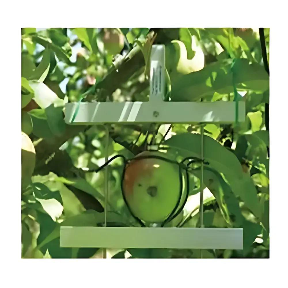 Ecomatik DF Series Non-Destructive Plant Growth Monitor