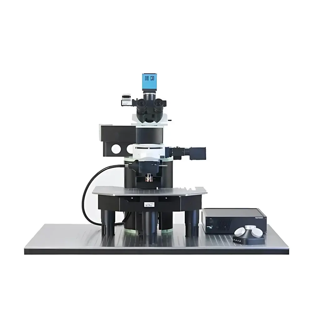 LaVision BioTec TriM Scope Two-Photon Microscope