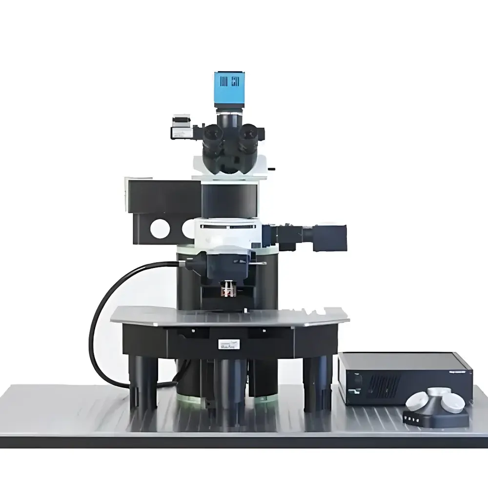 LaVision BioTec TriM Scope Two-Photon Microscope