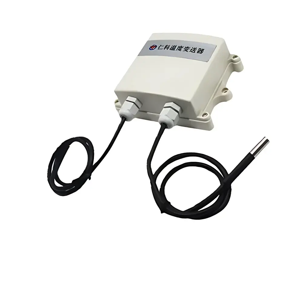 RenKe RS-WD-*-2 Wall-Mounted “Wangzi” Enclosure Single-Channel Temperature Transmitter
