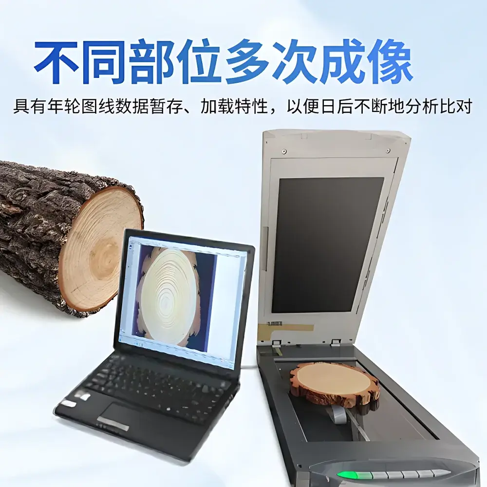 Yuntang YT-NLA3 Dendrochronological Analysis System for Tree-Ring Measurement and Growth Ring Quantification