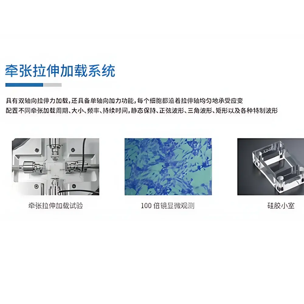 CARE IBTC-100S Cell Stretching Instrument