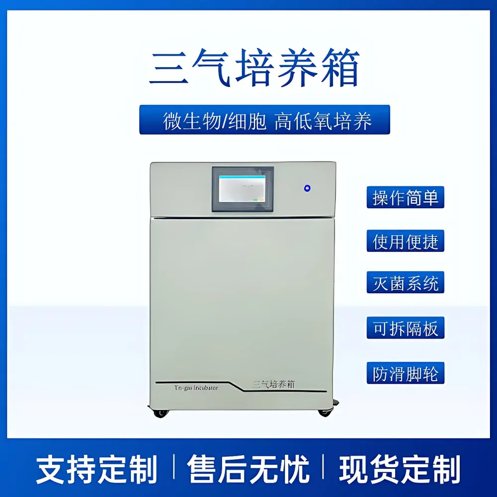 ANAYN CYSQ-80-III Tri-Gas Incubator for Hypoxic Cell Culture