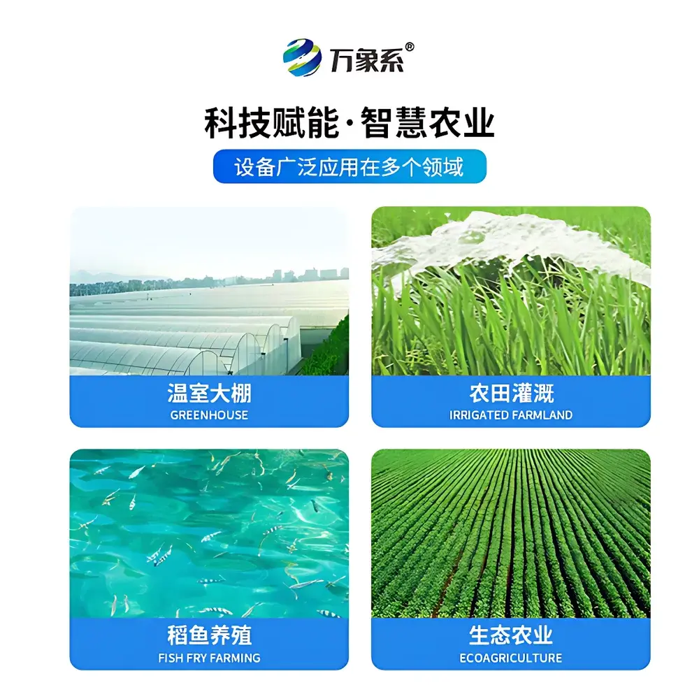 English Product Name