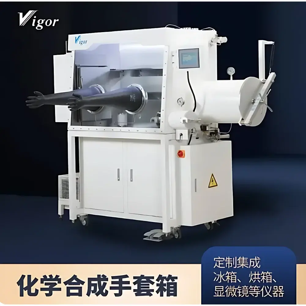 Vigor Vigor Single-Station Vacuum Glove Box