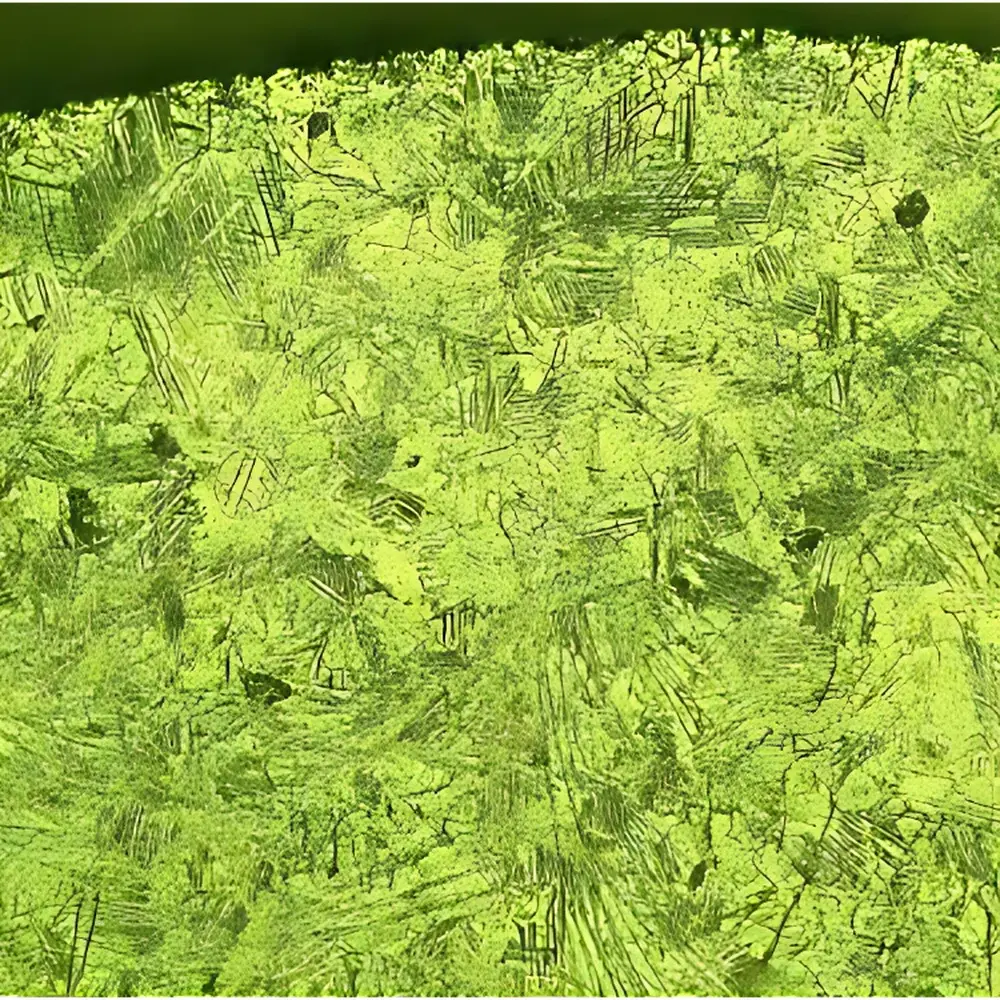 KB EP-06 Electrolytic Polishing and Etching System