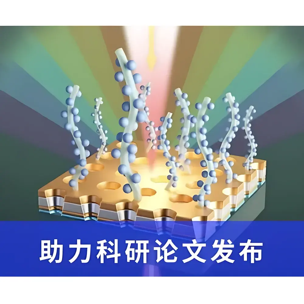 XLement Scientific Visualization Service for 3D Modeling, 2D Schematic Illustration, Medical Animation, and Journal Cover Design