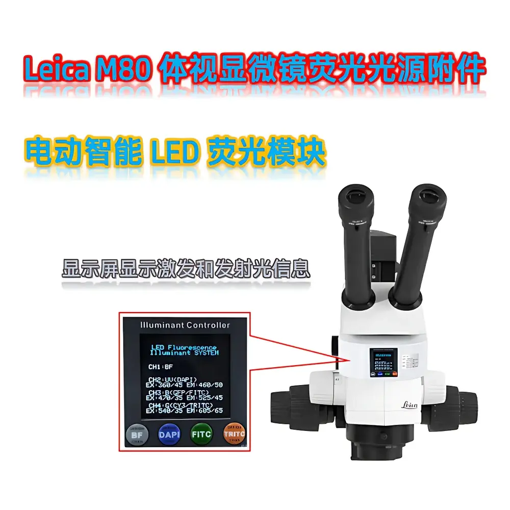 Leica M80 Stereo Fluorescence Microscope with UV-B-G-R LED Illumination Module M80-UVBGR-E