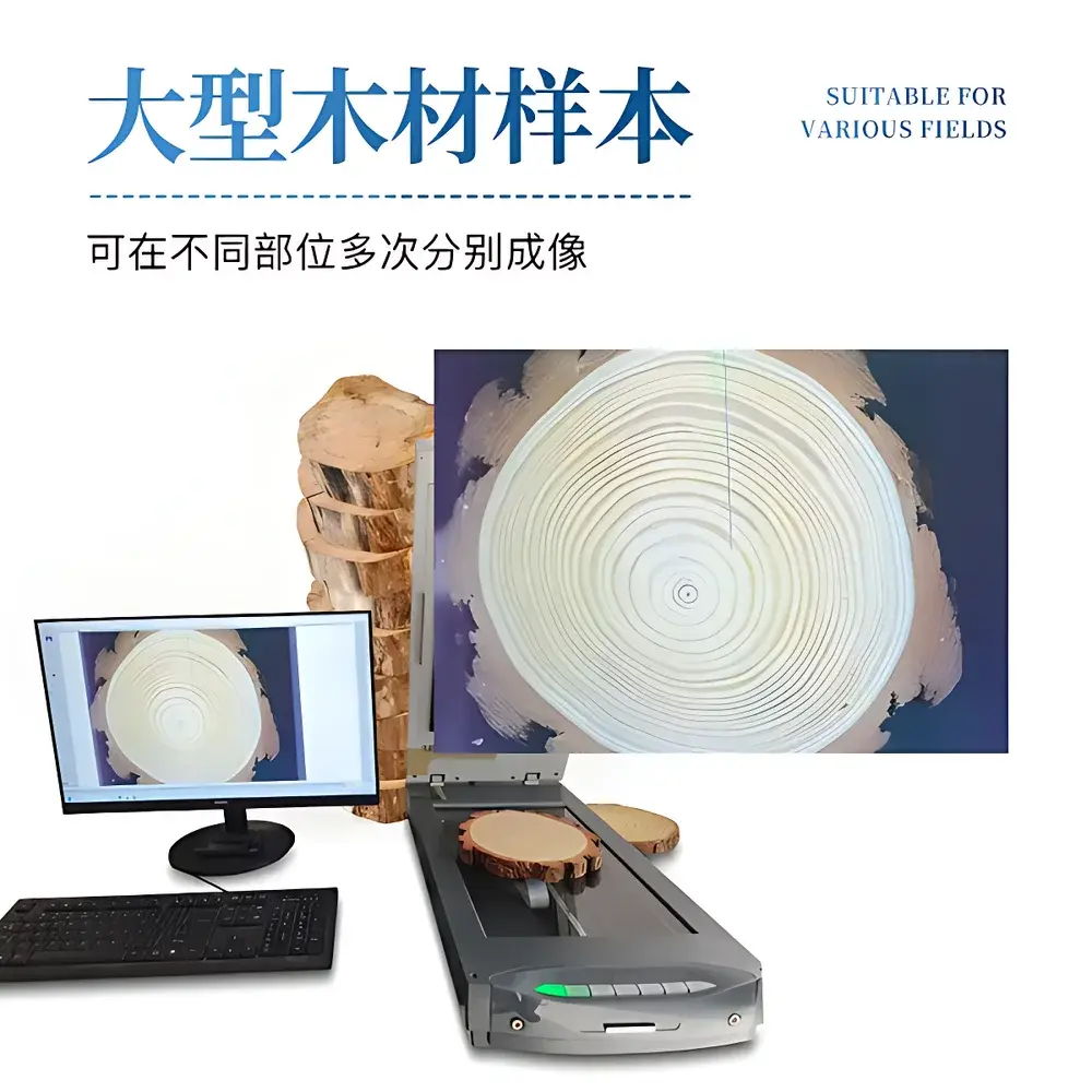 English Product Name