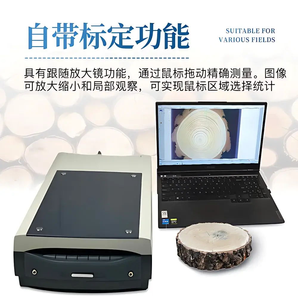 English Product Name