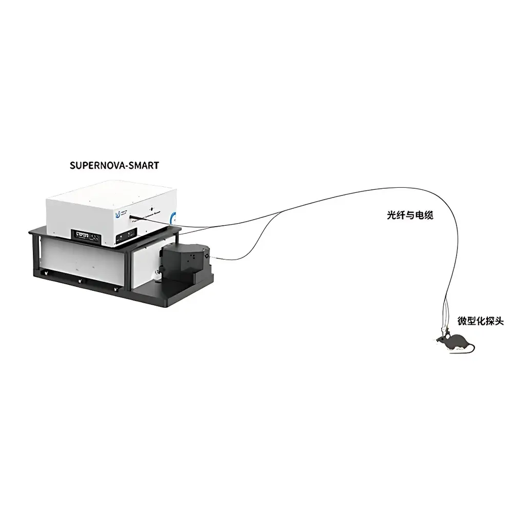 Transcend Vivoscope SUPERNOVA-SMART Miniaturized Two-Photon Microscope (mTPM)