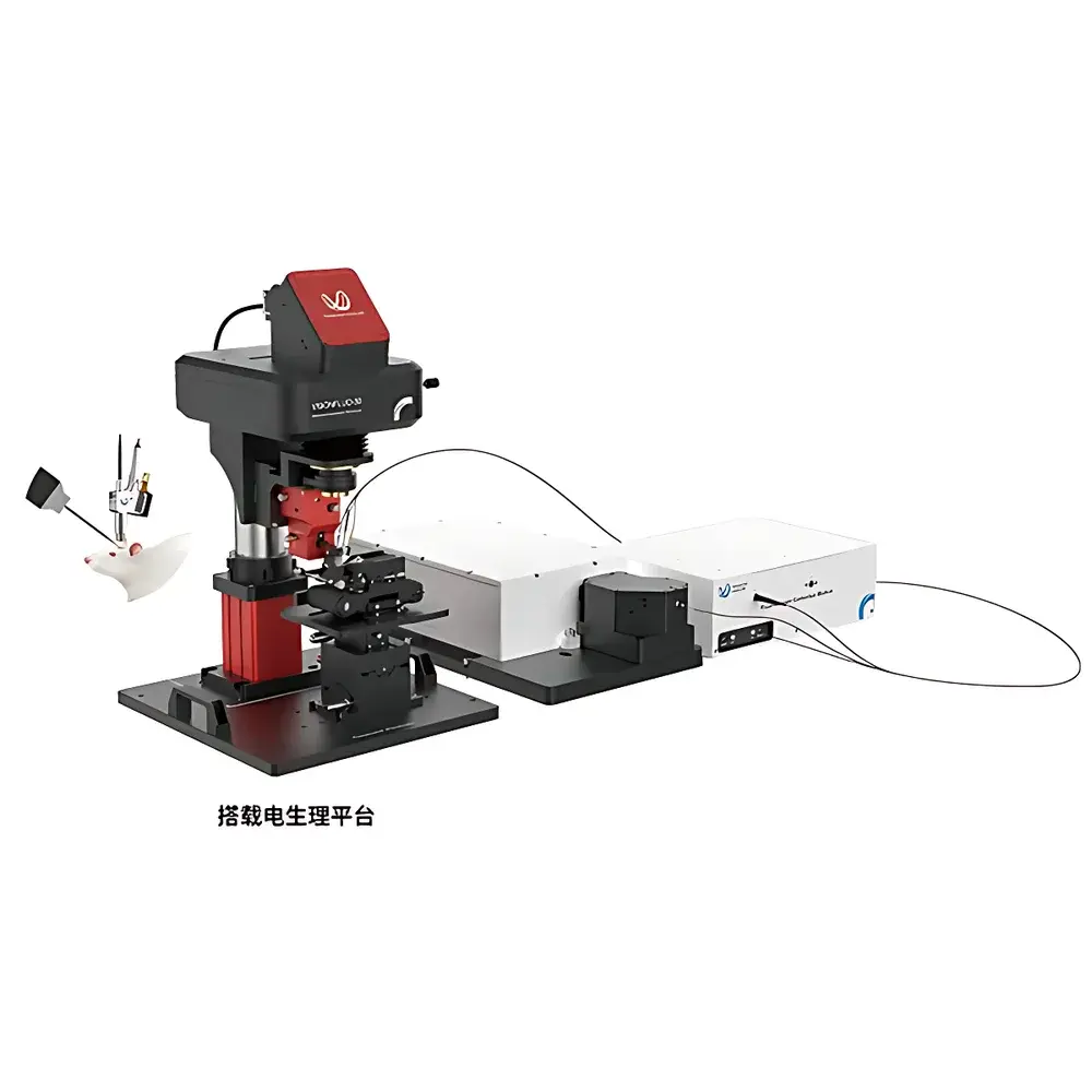 Transcend Vivoscope SUPERNOVA-SMART Miniaturized Two-Photon Microscope (mTPM)