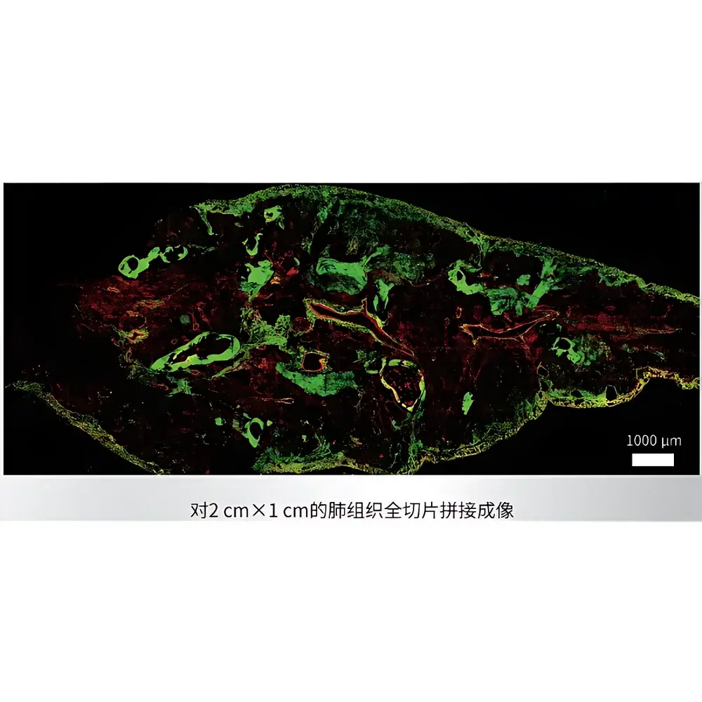 TRANSCEND VIVOSCOPE VISIONSCAN-100 Inverted Two-Photon Microscope