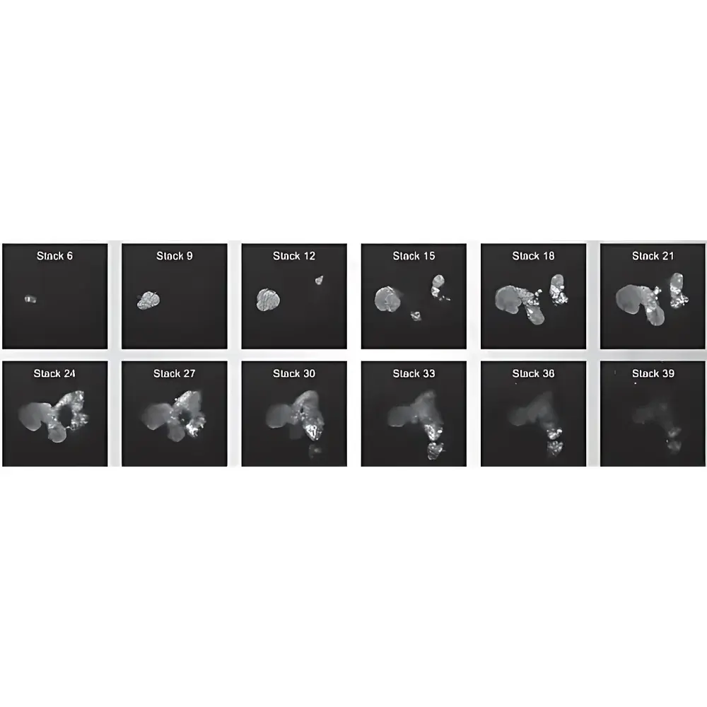 TRANSCEND VIVOSCOPE VISIONSCAN-100 Inverted Two-Photon Microscope