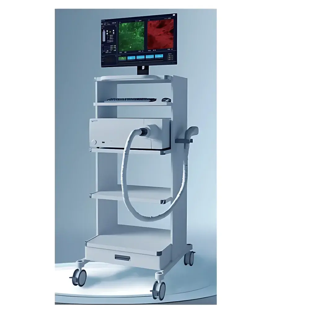 Two-Photon Microscope