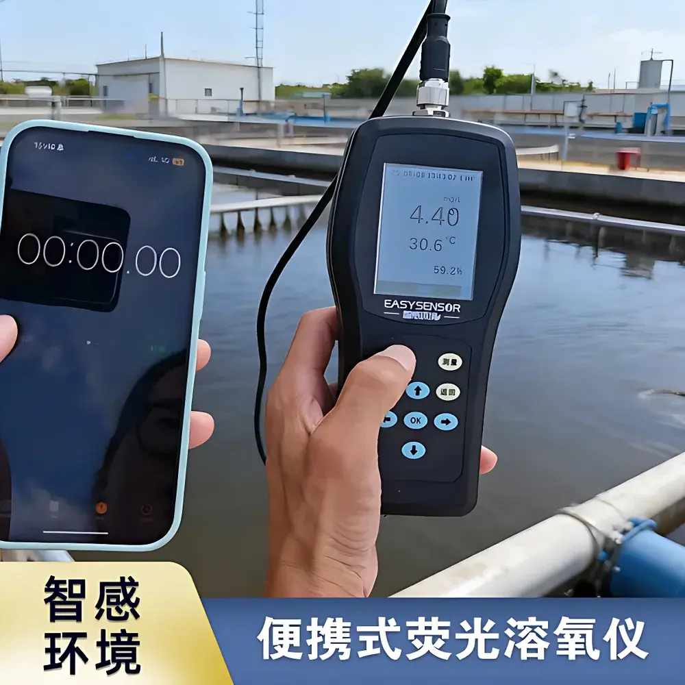Dissolved Oxygen Meter