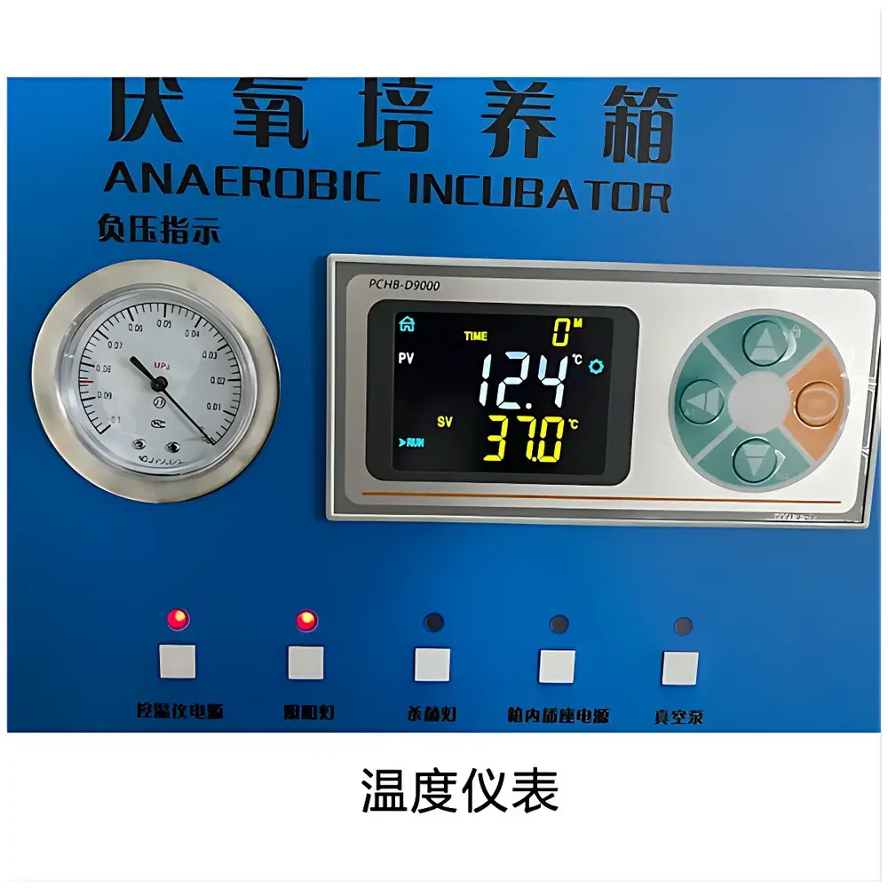 Chuanyu YQX-II Anaerobic & Microaerophilic Glove Box Incubator