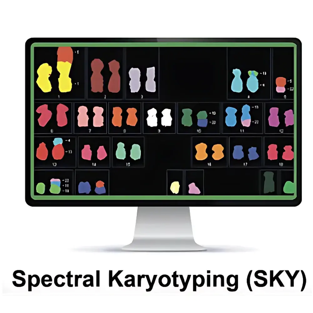ASI HiSKY Spectral Karyotyping System