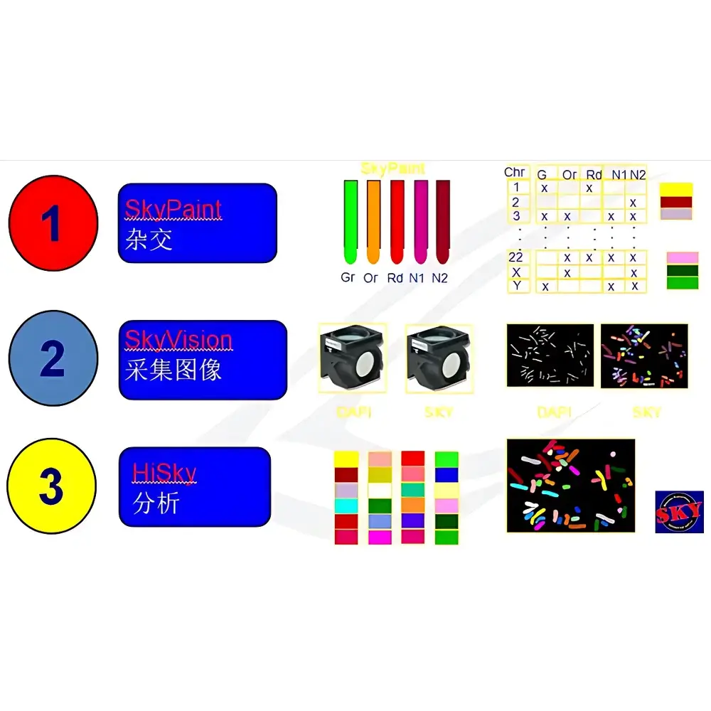 ASI HiSKY Spectral Karyotyping System