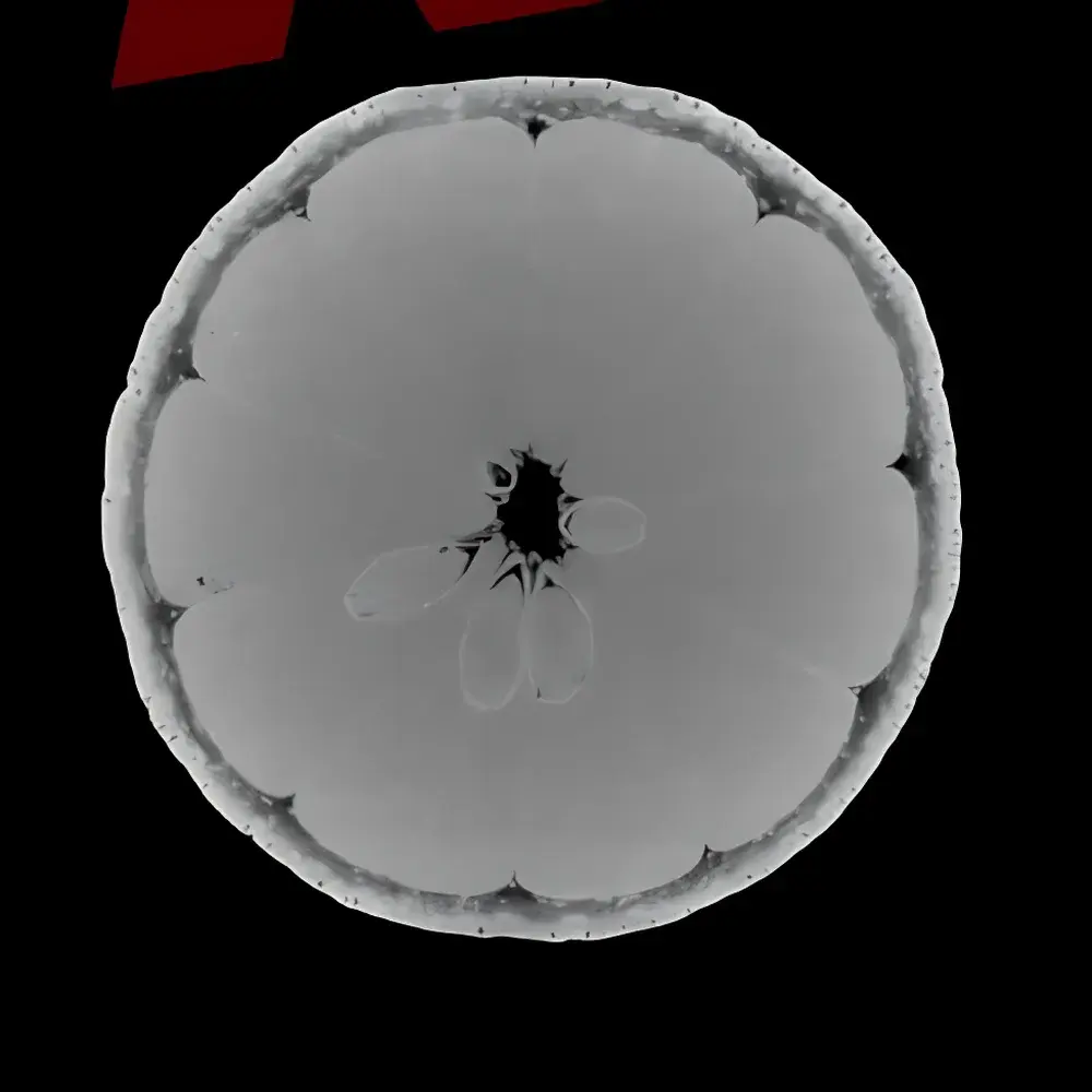 Always Imaging AX-3000CT Industrial Micro-CT System with Dual kV Options (225/240/300 kV) and Sub-2 µm Spatial Resolution