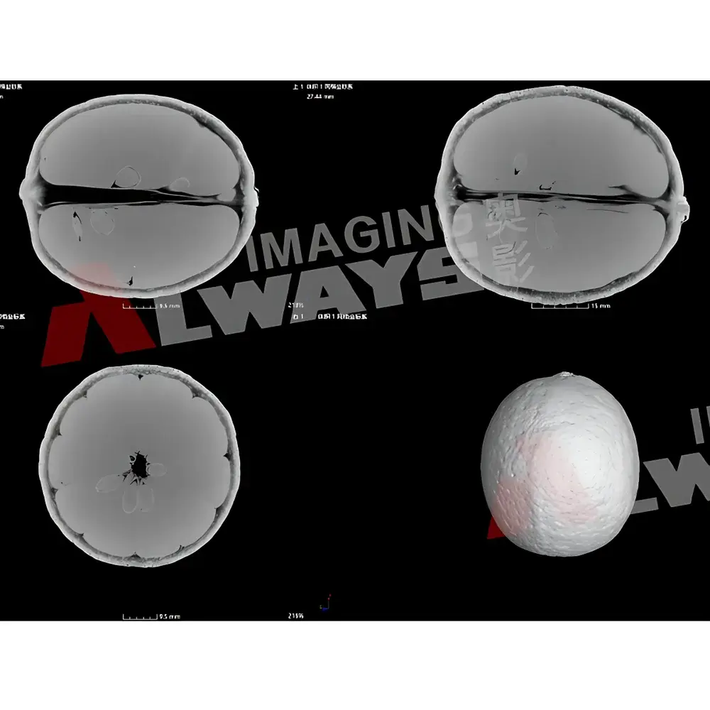 Always Imaging AX-1000CT Desktop Micro-CT System