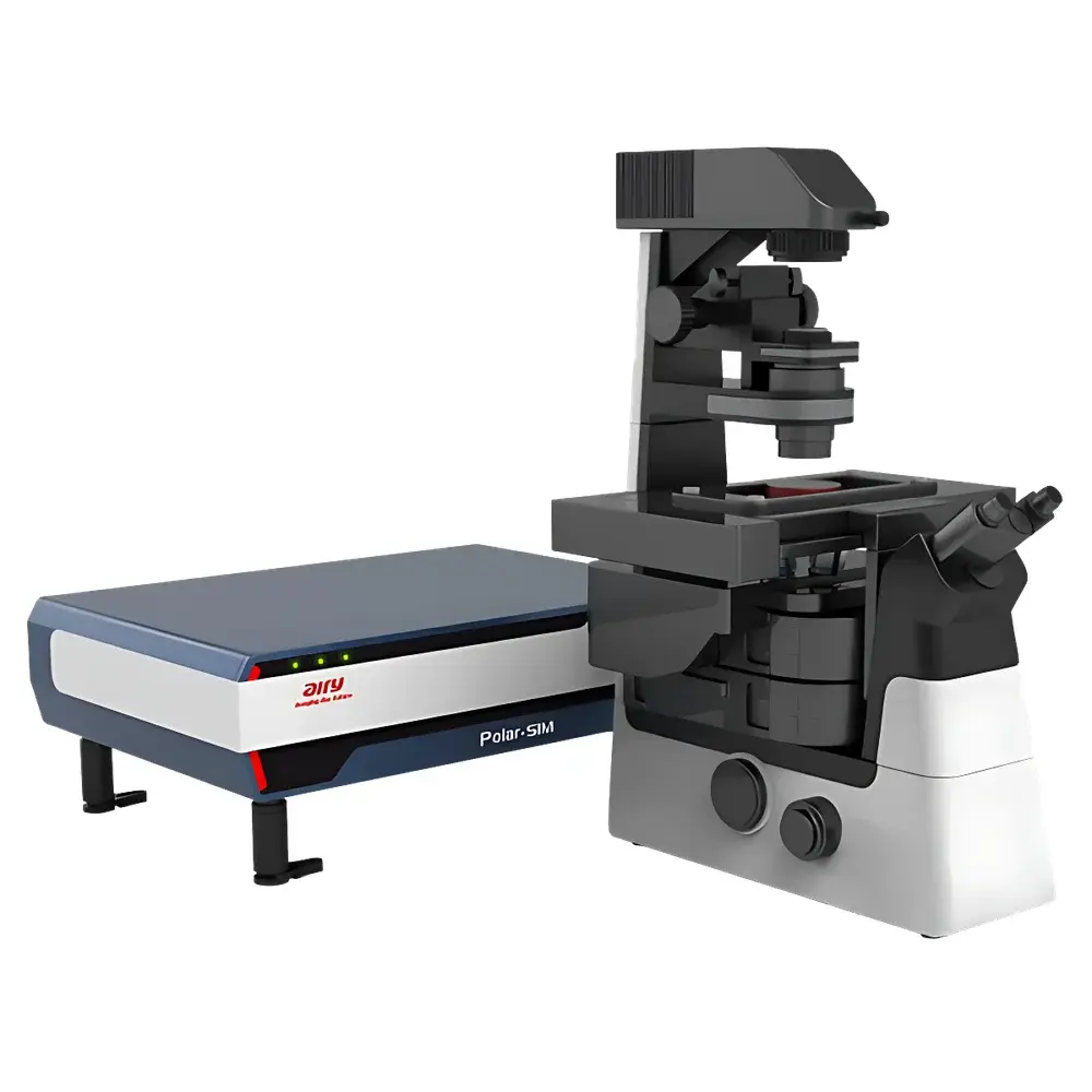 Airy Polar-SIM High-Fidelity Polarized Super-Resolution Microscopy System