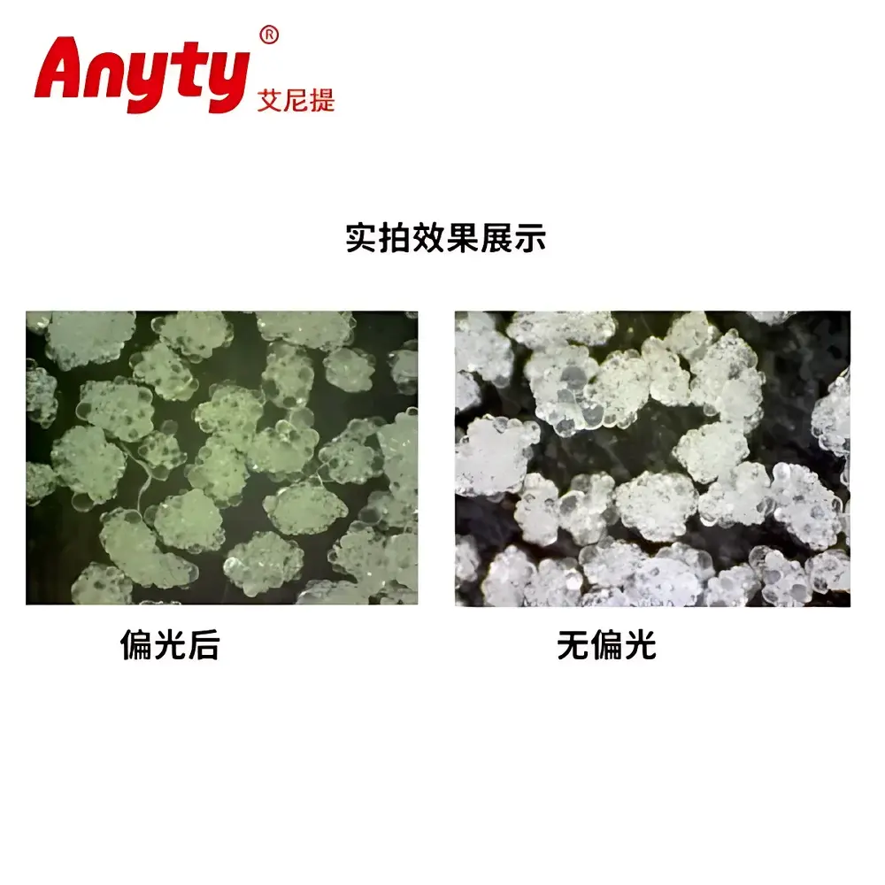 Anyty 3R-MSUSB401-PL USB-Cabled Polarizing Digital Microscope