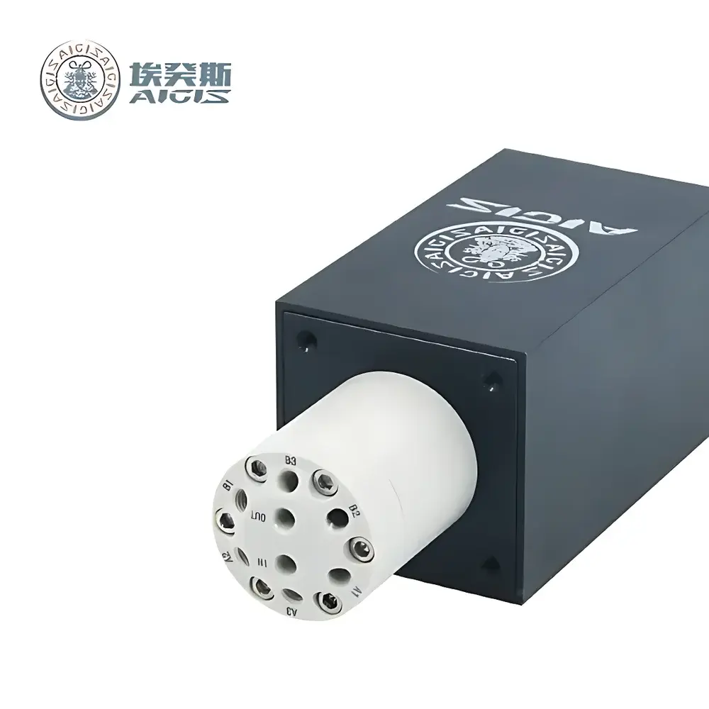 AIGIS Multi-Position Multi-Port Selection Valves for Protein Purification Systems