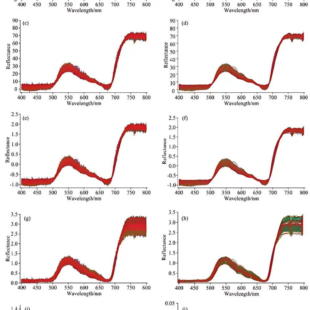 ESEN Vis-NIR Spectral Modeling Service for Cadmium Contamination in Lettuce