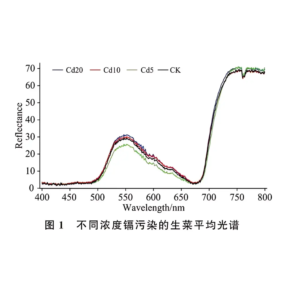 ESEN Vis-NIR Spectral Modeling Service for Cadmium Contamination in Lettuce
