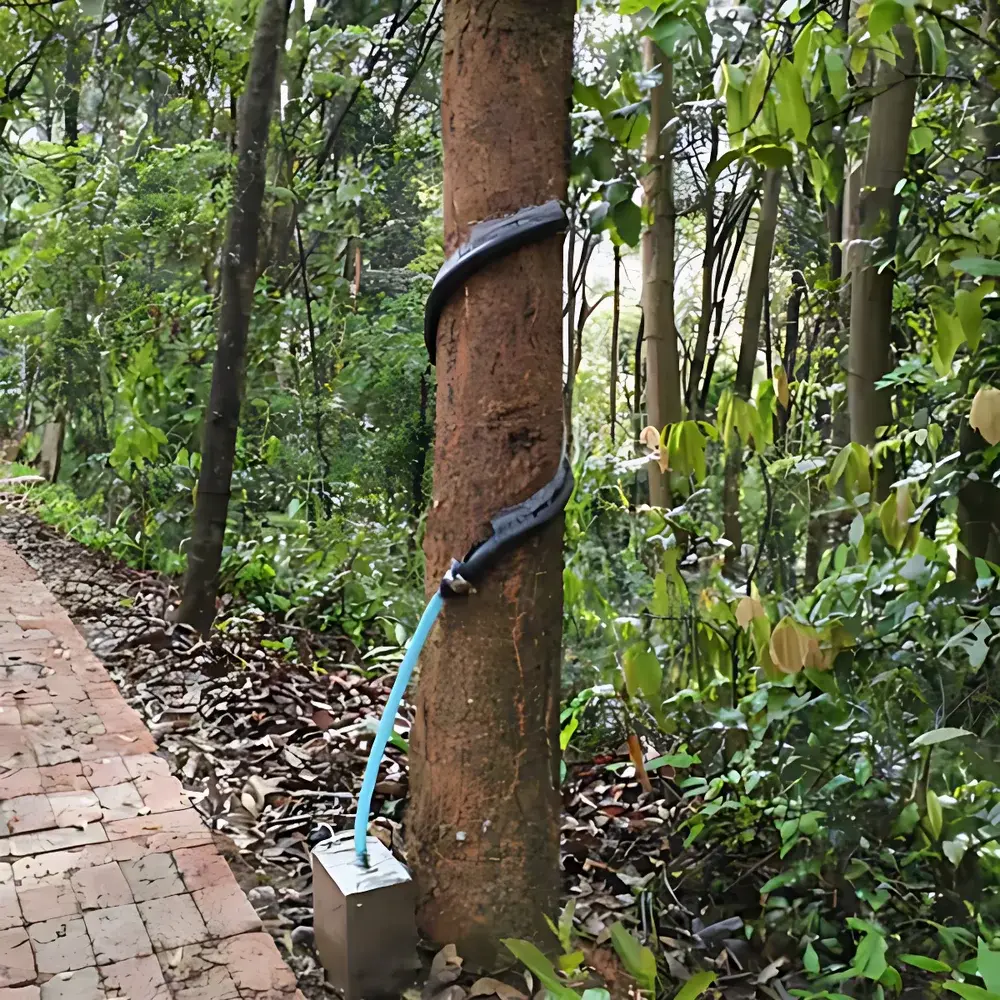 Azure Cloud & Wind Confluence YL-T10 Stemflow Collector and Data Logger