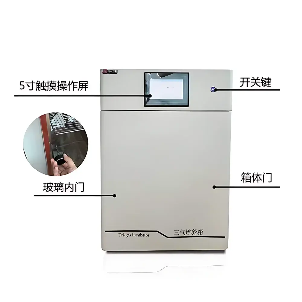 AnYuJie AYJ-KB50B Tri-Gas Incubator (O₂/N₂/CO₂) with Water-Jacketed Temperature Control