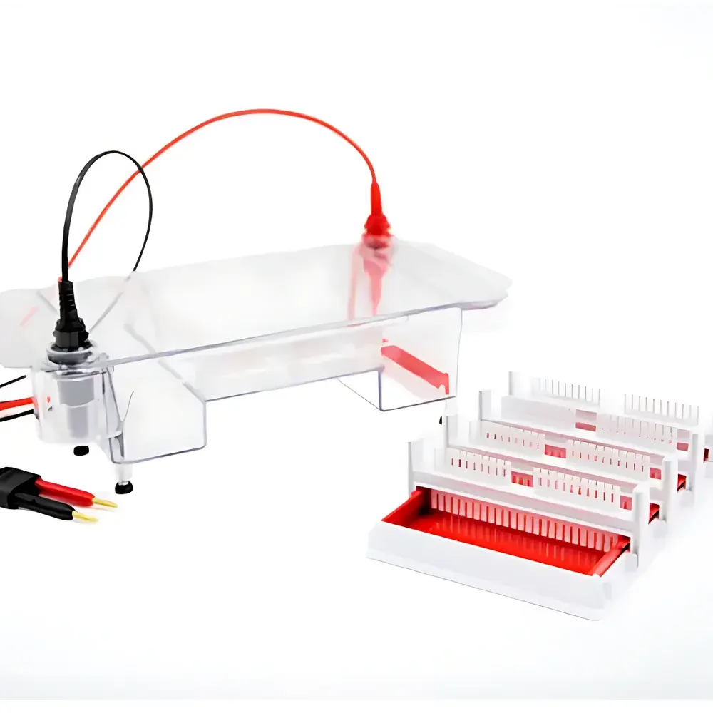 Tanon HE-220 High-Throughput Horizontal Electrophoresis System