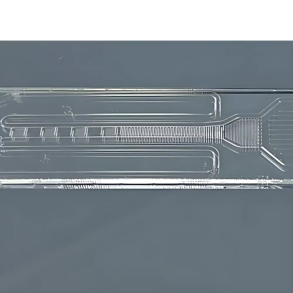 Bo-Semitech Digital Fluorescent Immunochromatographic Chip System for Single-Molecule Protein Detection
