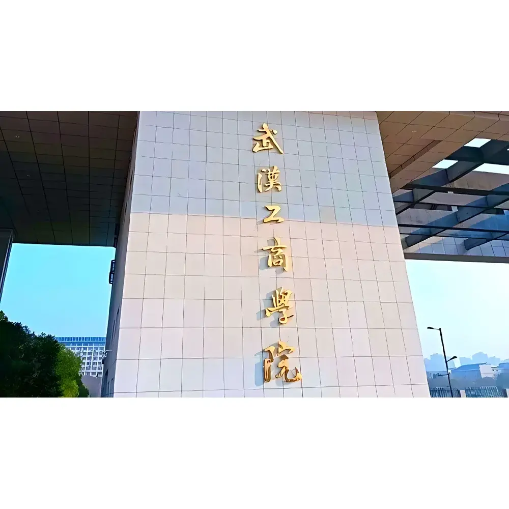 Hongtuo Technology ICP-OES Spectroscopy Instrument Rental Service