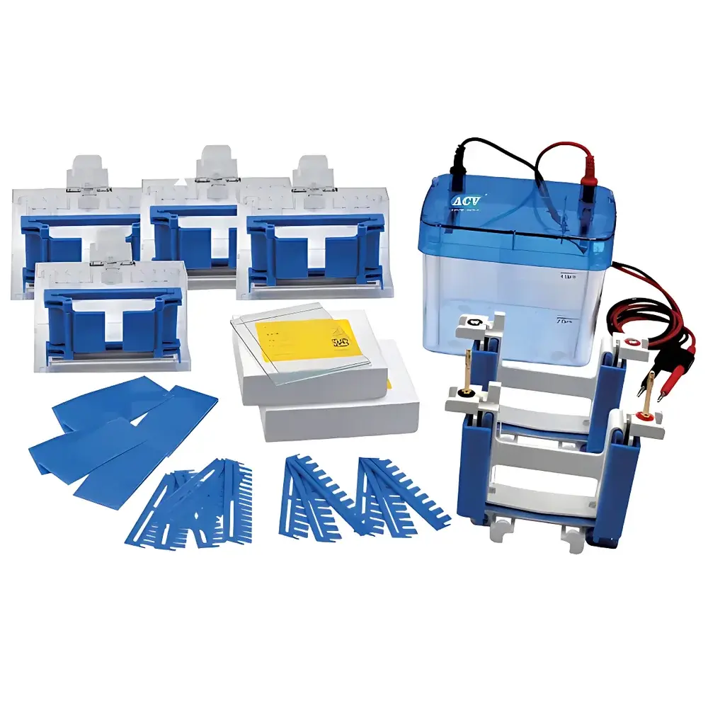 ACV ProLux Series Fully Automated Stain-Free Western Blotting System