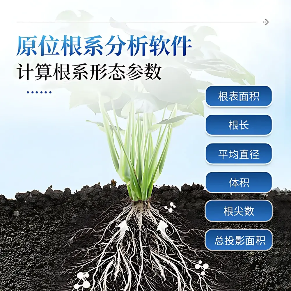 Plant Root Growth Monitoring System IN~GXY by COMECAUSE